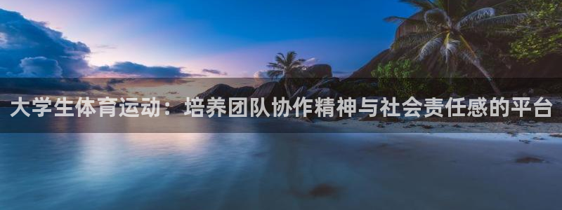乐视体育直播NBA：大学生体育运动：培养团队协作精神与社会责任感的平台