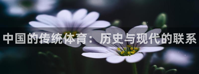 乐视体育搏击频道在线直播观看：中国的传统体育：历史与现代的联系